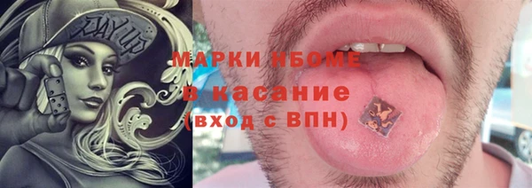 СК Бородино