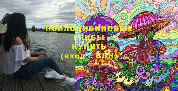 СК Бородино