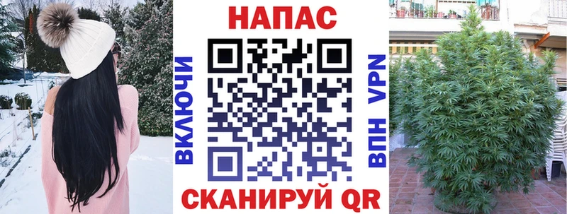 Каннабис семена  гидра зеркало  Прокопьевск 